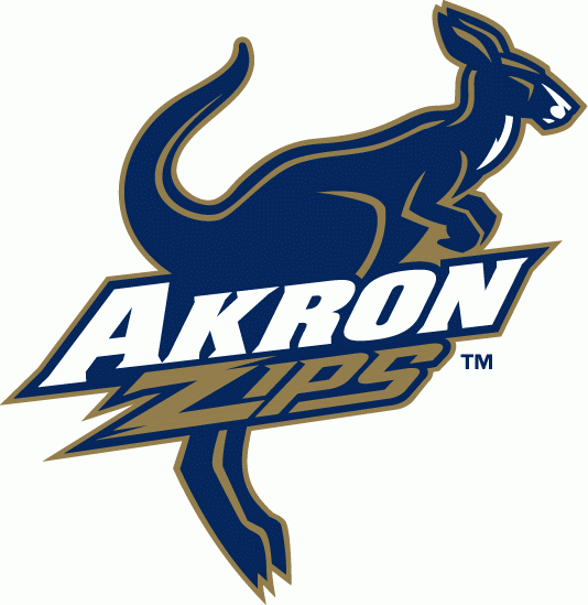 Akron Zips 2002-2007 Primary Logo vinyl decal